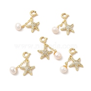 Natural Pearl Spring Ring Clasp Charms, with Brass Micro Pave Clear Cubic Zirconia Starfish Pendants, Real 14K Gold Plated, 125mm(KK-I697-06G)
