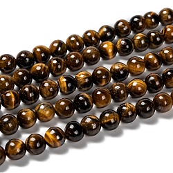 Grade AB Natural Tiger Eye Round Beads Strands, 8~8.5mm, Hole: 1mm, about 47pcs/strand, 15.5 inch(G-E334-8mm-17)