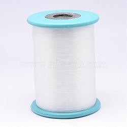 Nylon Wire, Fishing Thread, Clear, 0.45mm, about 1093.61 yards(1000m)/roll(NWIR-N013-01-0.45mm)