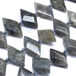 Natural Labradorite Bead Strands, Faceted, Rhombus, 21~32x10~18x5~7mm, Hole: 0.6~0.8mm, about 20~25pcs/strand, 15 inch~15.7 inch(38~40cm)(G-O179-H08)