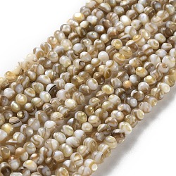 Natural Freshwater Shell Beads Strands, Rondelle, 4x3~3.5mm, Hole: 0.9mm, about 128pcs/strand, 15.63''(39.7cm)(SSHEL-B002-18)