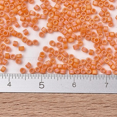 Perles miyuki delica petites(X-SEED-J020-DBS1593)-4