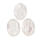 Natural White Shell Cabochons(SSHEL-C012-02)-1