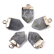 Natural Labradorite Pointed Pendants, with Light Gold Plated Top and Brass Loop, Arrow, Faceted, 19x10.5x4.5mm, Hole: 1.8mm(G-N326-34C)
