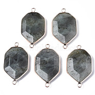 Natural Labradorite Links Connectors, with Edge Rose Gold Plated Brass Findings, Faceted, Polygon, 39~40x22~23x5~7mm, Hole: 2.5mm(G-S359-280B)