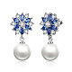 Platinum Plated Brass Flower Cubic Zirconia Stud Earrings(EJEW-FF0002-08A)-1