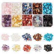 10 Styles Natural Mixed Gemstone Chip Beads, No Hole/Undrilled, Mixed Dyed and Undyed, 5~10.5x5~7x2~4mm(G-NB0003-97)