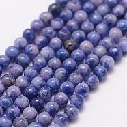 Natural Sodalite Beads Strands, Round, 3mm, Hole: 0.5mm, about 125pcs/strand(G-N0203-01-3mm)