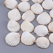 Electroplate Sea Shell Pendants, with Brass Findings, Golden, Seashell Color, 34~46x28~38x10~13mm, Hole: 1.2mm(SSHEL-S261-05)
