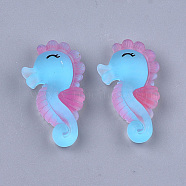 Printed Resin Cabochons, Frosted, Sea Horse, Light Sky Blue, 30x17x7mm(X-CRES-S363-07)