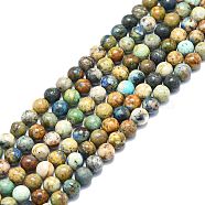 Natural Chrysocolla and Lapis Lazuli Beads Strands, Round, 8mm, Hole: 1mm, about 50pcs/strand, 15.55 inch(39.5cm)(G-F715-105B)