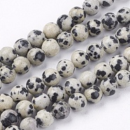 Natural Dalmatian Jasper Stone Bead Strands, Round, 6mm, Hole: 1mm, about 63pcs/strand, 14.9 inch(X-G-R193-14-6mm)