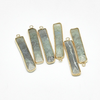 Natural Labradorite Pendants, with Golden Tone Brass Findings, Faceted, Rectangle, Gainsboro, 46.5~47.5x10x4~6mm, Hole: 2mm