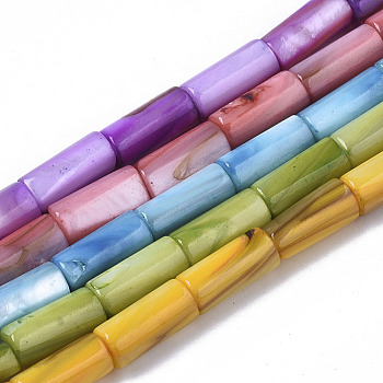 Natural Freshwater Shell Beads, Dyed, Column, Mixed Color, 10x4.5mm, Hole: 0.9mm, about 36pcs/Strand, 14.17 inch(36 cm)