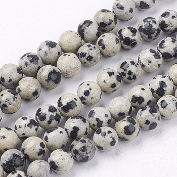 Natural Dalmatian Jasper Stone Bead Strands, Round, 6mm, Hole: 1mm, about 63pcs/strand, 14.9 inch