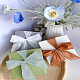 Polyester Organza Ribbon(OCOR-LP0001-72)-3