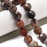 Natural Petrified Wood Beads Strands, Faceted Football Hexagonal Cut, Round, 9.5~10mm, Hole: 1.2mm, about 39pcs/strand, 15.08 inch(38.3cm)(G-C150-B01-02)