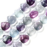 Natural Fluorite Beads Strands, Top Drilled, Teardrop, 8.5x8.5x5mm, Hole: 0.9mm, about 25pcs/strand, 8.27 inch(21cm)(G-G116-A01-01)