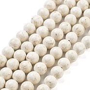 Natural Fossil Beads Strands, Round, Floral White, 8mm, Hole: 1mm, about 49pcs/strand, 15.55''(39.5cm)(G-H026-02B)