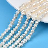 Natural Cultured Freshwater Pearl Beads Strands, Potato, Seashell Color, 3.5~5x4.5~6x4~5mm, Hole: 0.7mm, about 81~88pcs/strand, 13.70 inch~13.98 inch(34.8cm~35.5cm)(X1-PEAR-N013-04B)