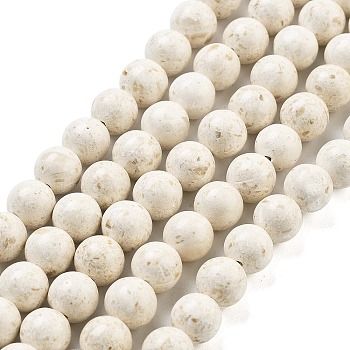 Natural Fossil Beads Strands, Round, Floral White, 8mm, Hole: 1mm, about 49pcs/strand, 15.55''(39.5cm)