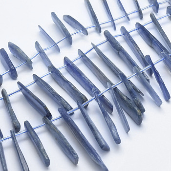 Natural Kyanite/Cyanite/Disthene Beads Strands, Top Drilled Beads, Rectangle Slice, 14~59x8~14x2~4.5mm, Hole: 1mm, about 36pcs/strand, 15.5 inch