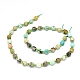 Natural Turquoise Beads Strands(G-O201B-38)-2