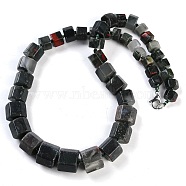 Natural Bloodstone Hexagon Prism Graduated Beaded Necklaces for Women Men, 19.49 inch(49.5cm)(NJEW-K388-03Q)