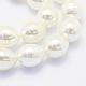 Shell Pearl Beads Strands(BSHE-P024-12A)-3