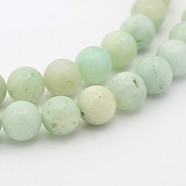 Natural Flower Amazonite Round Bead Strands, 6mm, Hole: 1mm, about 68pcs/strand, 15.7 inch(G-P070-33-6mm)