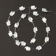 Natural White Shell Mother of Pearl Shell Beads, Cat, Creamy White, 9x12x3.5mm, Hole: 0.7mm, about 20pcs/strand, 18.50''(47cm)(BSHE-B005-11)