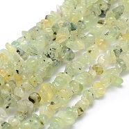 Natural Prehnite Beads Strands, Chip, 5~8mm, Hole: 1mm, about 33 inch(84cm)(X-G-P332-41)