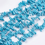 Dyed Natural Howlite Nuggets Beads Strands, Dark Turquoise, 12~20x6~10x3~10mm, Hole: 1mm, about 104pcs/strand, 15.7 inch(G-R191-12)