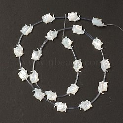 Natural White Shell Mother of Pearl Shell Beads, Cat, Creamy White, 9x12x3.5mm, Hole: 0.7mm, about 20pcs/strand, 18.50''(47cm)(BSHE-B005-11)