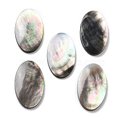 Natural Black Lip Shell Cabochons, Oval, Gray, 26.5x15.5x3mm(SSHEL-D084-04A)