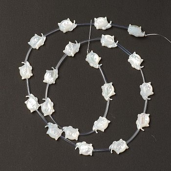 Natural White Shell Mother of Pearl Shell Beads, Cat, Creamy White, 9x12x3.5mm, Hole: 0.7mm, about 20pcs/strand, 18.50''(47cm)