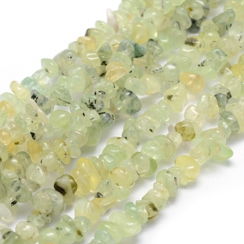 Natural Prehnite Beads Strands, Chip, 5~8mm, Hole: 1mm, about 33 inch(84cm)
