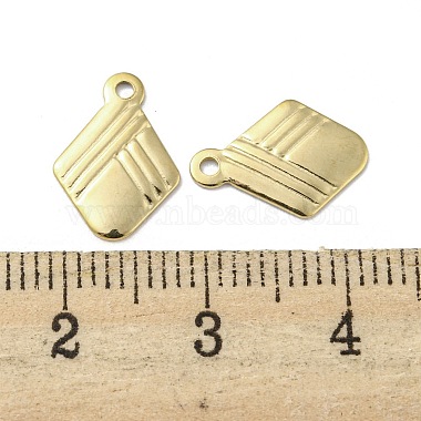 304 Stainless Steel Charms(STAS-L022-036G)-3