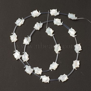 12mm Creamy White Cat White Shell Beads