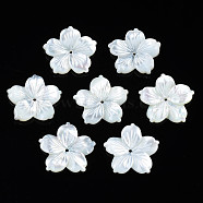 Natural White Shell Beads, Flower, 16.5~17x18x2~3mm, Hole: 1mm(SSHEL-N027-131C-01)