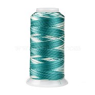 Segment Dyed Round Polyester Sewing Thread, for Hand & Machine Sewing, Tassel Embroidery, Light Green, 3-Ply 0.2mm, about 1000m/roll(OCOR-Z001-A-07)