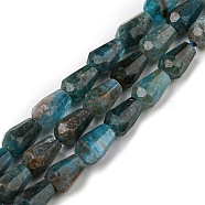 Natural Apatite Beads Strands, Faceted, Teardrop, 5.5~8.3x4.1~4.35mm, Hole: 0.5mm, about 58pcs/strand, 15.43~15.55 inch(39.2~39.5cm)(G-C080-B06-01)