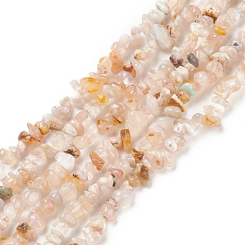 Natural Cherry Blossom Agate Chips Beads Strands, 2.5~6x4.5~10.5mm, Hole: 0.8~1mm, about 33.86 inch(86cm)