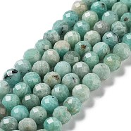 Natural Amazonite Beads Strands, Grade AB, Faceted, Round, 6.5~7.5mm, Hole: 0.8mm, about 52pcs/strand, 14.76~14.96 inch(37.5~38cm)(G-J400-E11-07AB)
