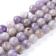 Natural Amethyst Beads Strands(G-L555-01-10mm)-1