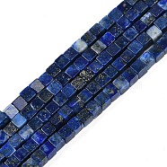 Dyed Natural Lapis Lazuli Beads Strands, Cube, 3.5x3.5x3.5mm, Hole: 0.7mm, about 110pcs/strand, 15.16''(38.5cm)(G-B129-A18-01)