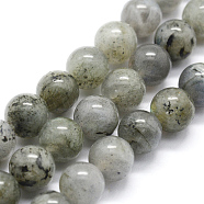 Natural Labradorite Beads Strands, Round, 6mm, Hole: 0.8mm, about 63pcs/strand,  14.76 inch(37.5cm)(G-I199-15-6mm)