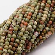 Natural Rhyolite Jasper Beads Strands, Round, 2mm, Hole: 0.5mm, about 190pcs/strand(G-N0183-01-2mm)