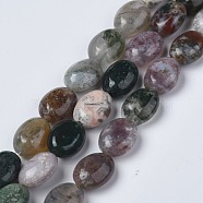 Natural Indian Agate Beads Strands, Oval, 8x6x3.5~4mm, Hole: 1mm, about 45~52pcs/strand, 15.16~15.74 inch(38.5~40cm)(G-Z006-A19)
