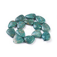 Natural Amazonite Beads Strands, teardrop, 27~31x21~26x7~11mm, Hole: 1mm, about 14pcs/strand, 16.8 inch(42.8cm)(G-F645-02)